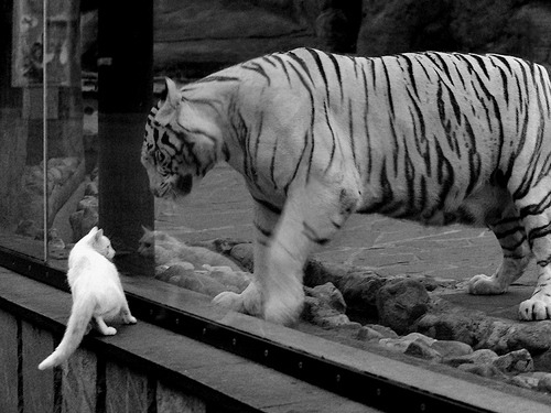 爱游戏体育（AYX）官方APP下载-_东道主队爆冷出局，赛场风云变幻！_，东道主直接进决赛吗