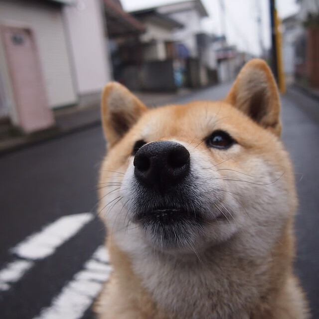 爱游戏全站注册-“青春飞扬”青少年篮球精彩表演在武汉震撼上演，彰显青春风采
